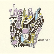 Damien Rice 9