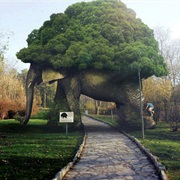 Tree Elephant