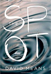 The Spot (David Means)