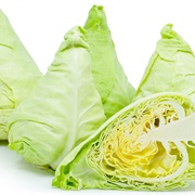 Cone Cabbage