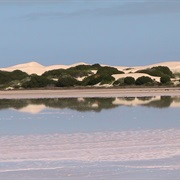 Salty Reflections Near Fowler's Bay