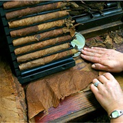 Learn to Roll a Cigar