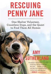 Rescuing Penny Jane (Amy Sutherland)