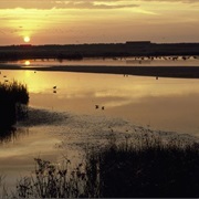 RSPB Minsmere