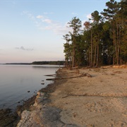 Jordan Lake State Recreation Area, North Carolina