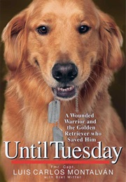 Until Tuesday (Luis Carlos Montalvan)