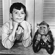 Beaver (Leave It to Beaver)