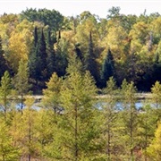 Tamarac National Wildlife Refuge