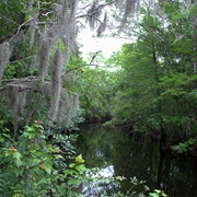Little Pee Dee State Park, South Carolina