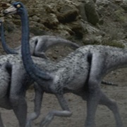 Ornithimimus