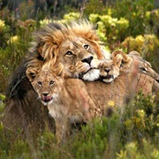 Private Wildlife Reserve