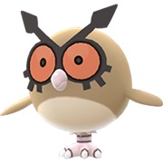 Hoothoot
