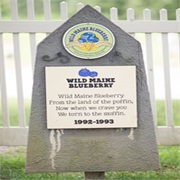 Wild Maine Blueberry