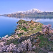 Van Lake Turkey