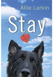 Stay (Allie Larkin)