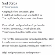 Sad Steps (Philip Larkin)