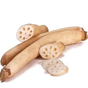 Lotus Root