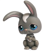 Littlest Pet Shop #14