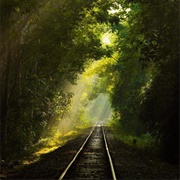 Lowacherra National Park