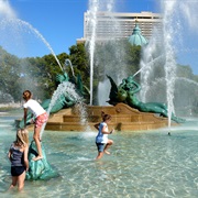 Swim in a Public Fountain