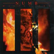 Numb - Wasted Sky