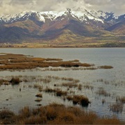 Prespa NP / Ohrid Lake, Albania/Greece/Macedonia