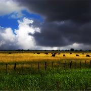 Las Pampas, Argentina