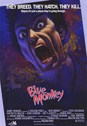 Blue Monkey