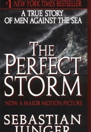 The Perfect Storm (Harper Torch Nonfiction) (Sebastian Junger)