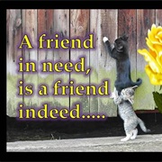 A Friend in Need Is a Friend Indeed
