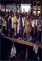 One Thousand Pictures: R.F.K.'S Last Journey (2010)