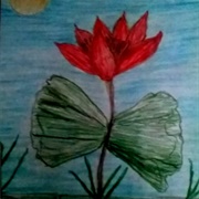 Poppy Meagan Scribner