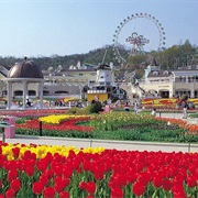 Everland, Gyeonggi-Do, South Korea