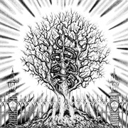 In the Company of Serpents - Ain-Soph Aur