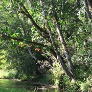 Aberdeen Gardens, Washington