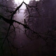 Controlled Bleeding  - The Poisoner