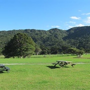 Barn Paddock Campsite