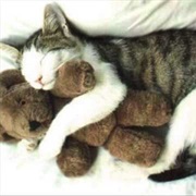 Warm Blankets and Cuddling