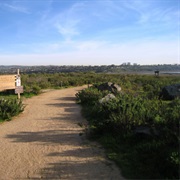 Upper Newport Bay Ecological Reserve