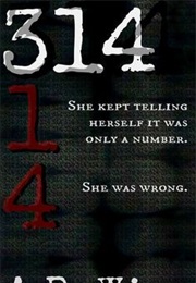 Widowsfield Trilogy (A.R. Wise)