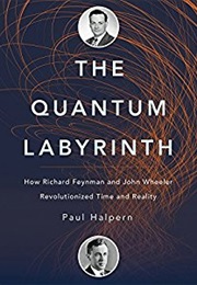 The Quantum Labyrinth (Paul Halpern)
