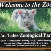Cat Tales Zoo