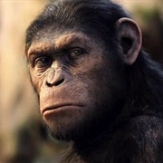 Andy Serkis - Rise of the Planet of the Apes