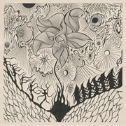 Jordsjø - Nattfiolen