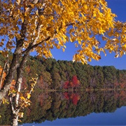 Lake Bob Sandlin State Park, Texas
