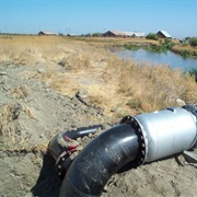 North Grasslands Wildlife Area, California