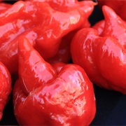 Scorpion Chili
