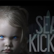 Seat Kicker Behind You