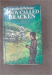 A Boy Called Bracken (Elizabeth Webster)