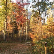 Governor Thompson State Park, Wisconsin
